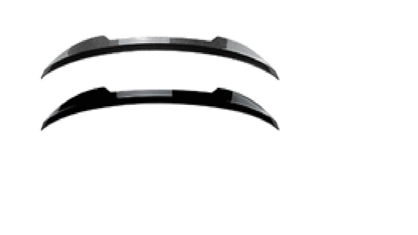 F20 MAX WINGLET G/B FD