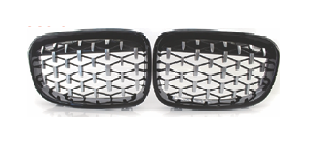 F20 M1 (11-14) METEOR GRILLE