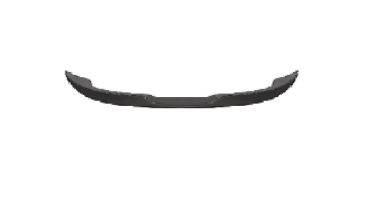 F20 AK ROOF SPOILER G/B