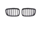 F20 (12-14) GRILLE  G/B