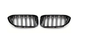 G20（20-22）DOUBLE LINE GRILLE GLOSS BLACK
