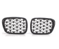 E39 M5 (99-03)  METEOR GRILLE BLACK
