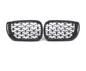 E46 M3 METEOR GRILLE BLACK