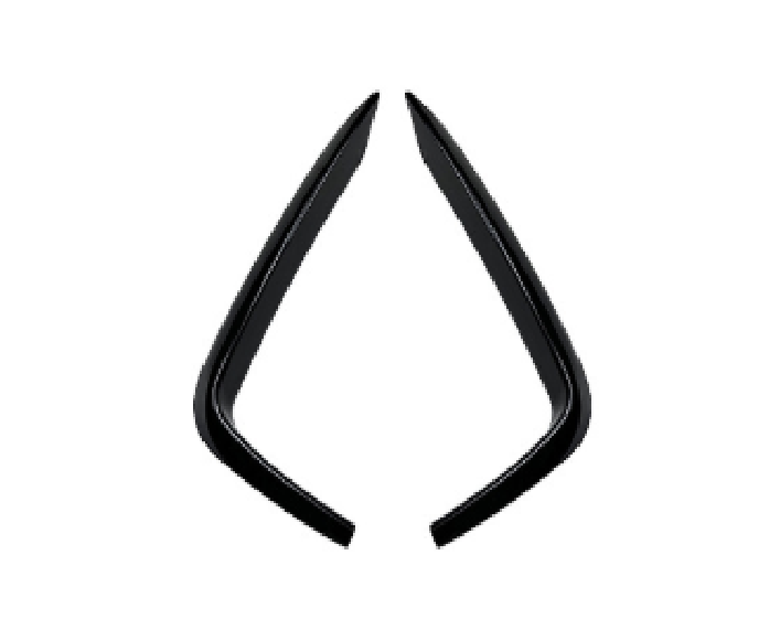 F22 FRONT CANARD G/B