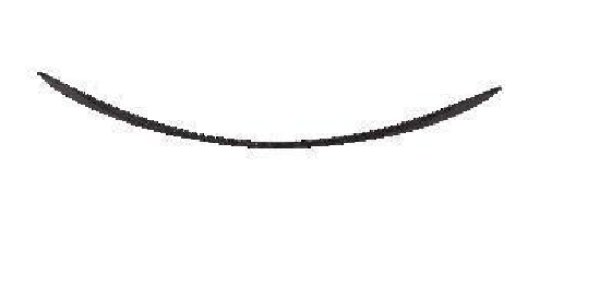 W205 SPOILER  C63S STYLE GLOSS BLACK