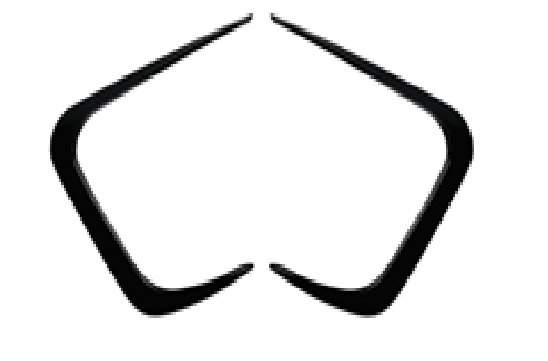 G20 F/L MAP FRONT L CANARD G/B FD