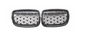 E70/E71/X5/X6 (08-12)  METEOR GRILLE BLACK